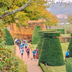 Marathon International du Beaujolais