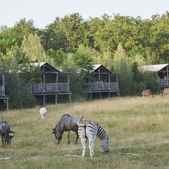 Lodges
