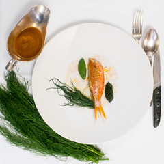 Rouget de Roche de Méditerranée