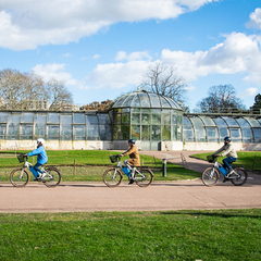 Balade à vélo dans le parc de la Tête d'Or de Lyon