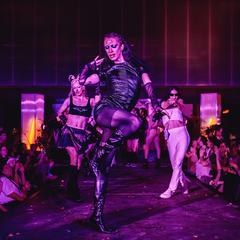 Intérieur Queer