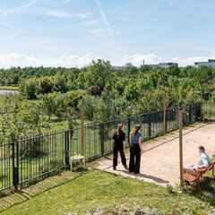 Bar extérieur - Terrain de pétanque