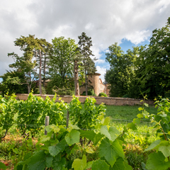 Château de Champ-Renard