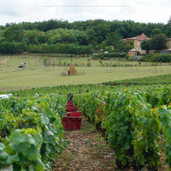 Jardins du Clos Saint Abram