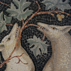 Visite Les animaux de la basilique_Lyon 5ème