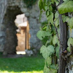 Cité médiévale de Pérouges