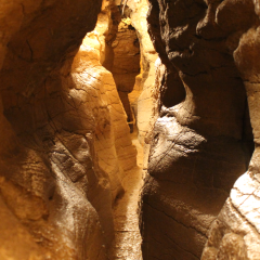 Les Grottes de la Balme - Balcons du Dauphiné - Isère