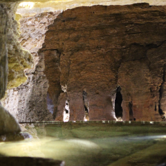 Les Grottes de la Balme - Balcons du Dauphiné - Isère