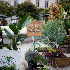 Lyon Braderie festival