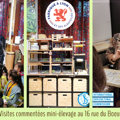 Visites 1