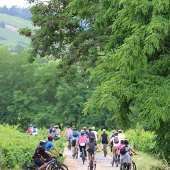 Team building balade vélo électrique