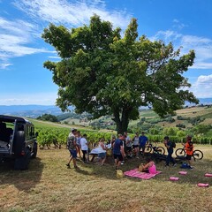 Team Building pique nique nature