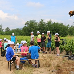 Team building pique nique champêtre