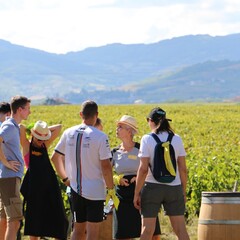 Team building Olympiades viticoles