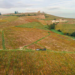 Découverte du Beaujolais en automne