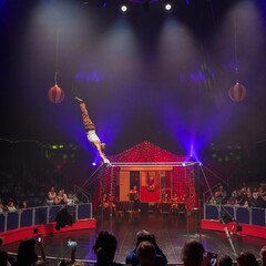 Sacré Cirque_barres