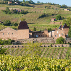 Château de Juliénas