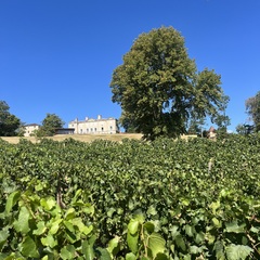 Château de Lachassagne - Château & vignes