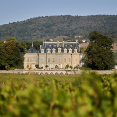 Château de Nervers - Vignes et Château