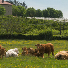 Photo de l'expo