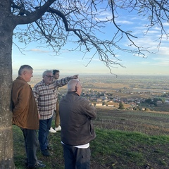 Beaujolais wine tour lyon