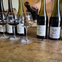 Beaujolais wine tasting