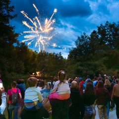 Feu d'artifice au Bois des Lutins