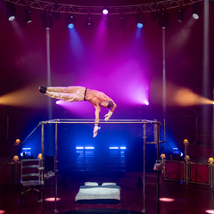 Dîner-Spectacle au Cirque Imagine - Acte VIII_Vaulx-en-Velin