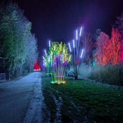 Les Nuits du Parc_Villars-les-Dombes