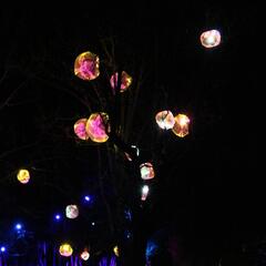 Les Nuits du Parc_Villars-les-Dombes