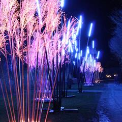 Les Nuits du Parc_Villars-les-Dombes