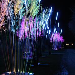 Les Nuits du Parc_Villars-les-Dombes