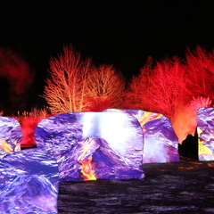 Les Nuits du Parc_Villars-les-Dombes