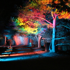 Les Nuits du Parc_Villars-les-Dombes