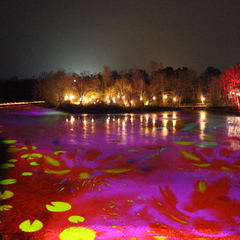 Les Nuits du Parc_Villars-les-Dombes