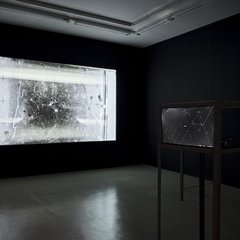 Exposition Les échos du silence_Villeurbanne
