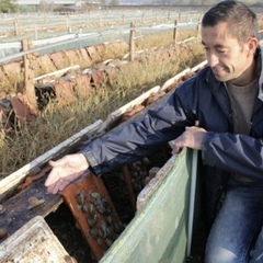 Escargots Martin - Rencontre avec un producteur_Alix