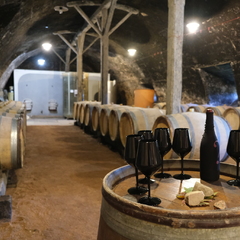 Dégustations immersives : Vins et chocolats d'origine ou Accords Sols et Vins_Lyon 6ème