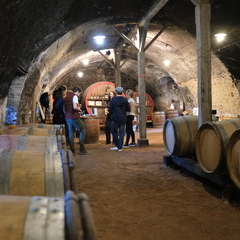 Dégustations immersives : Vins et chocolats d'origine ou Accords Sols et Vins_Lyon 6ème