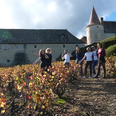 Dégustations immersives : Vins et chocolats d'origine ou Accords Sols et Vins_Lyon 6ème