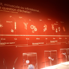 Nuit européenne des musées au  Musée de sciences biologiques Dr Mérieux_Marcy-l'Étoile