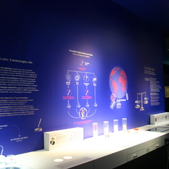 Nuit européenne des musées au  Musée de sciences biologiques Dr Mérieux_Marcy-l'Étoile