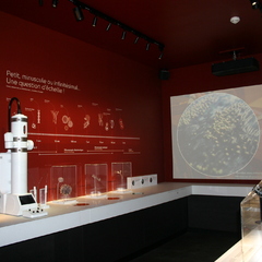 Nuit européenne des musées au  Musée de sciences biologiques Dr Mérieux_Marcy-l'Étoile