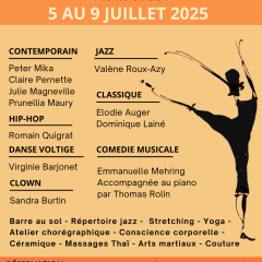 Affiche officielle stage de danse