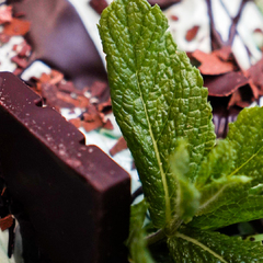 Nougatella_Lyon 5ème