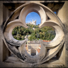 Lyon & Grace_Lyon 5ème