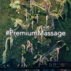 Premium Massage_Lyon 1er