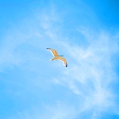 AU NOM DU CIEL - Yuval Rozman_Lyon 4ème