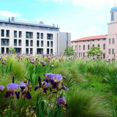 Balades urbaines : l'Antiquaille hier et aujourd'hui_Lyon 5ème
