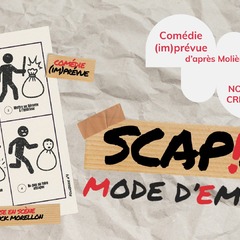 Comédie "Scapin : mode d'emploi"_Lyon 1er